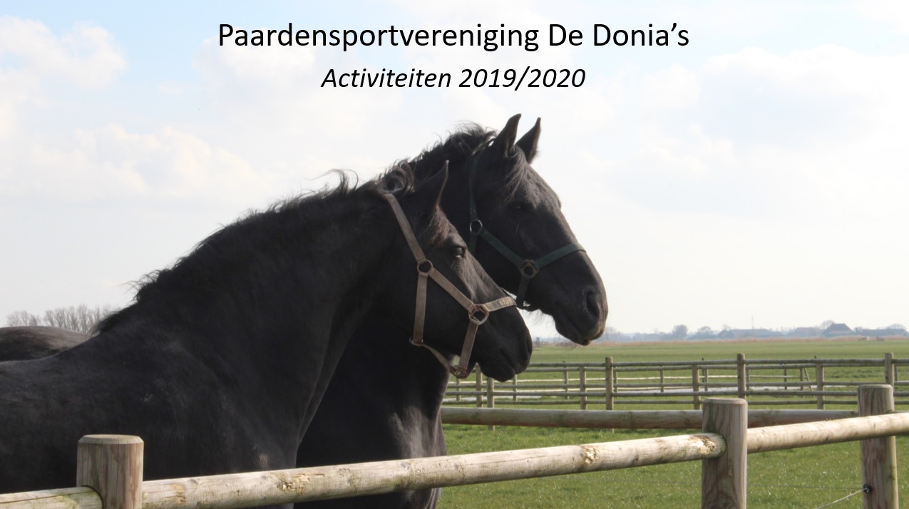 Activiteiten Donia’s